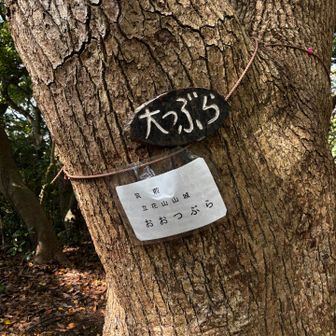 七座目⛰️
