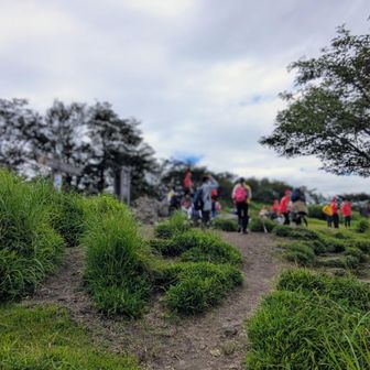 そして本日3回目の鍋割山頂に到着！ちょっと前に先ほどの子供たちが到着していて、自分たちが1回登る間に2回登ってきたオレを見て「スゲー！スゲー！」とプチヒーローになってしまった😁

「オジサンは多分君たちのお父さんよりも年上だよ。」と言ったら「何歳？」と聞かれたので「○○歳だよ」と答えたら「お父さんより上だ！スゲー！」「若ーい！」と更に騒がれて恥ずかしかった😅(でもちょっとニンマリ😁)

子供の一人が「チョコ食べますか？」と言ってくれたので、持ってきたカントリーマアムと物々交換😊 持ってきて良かったぜカントリーマアム！