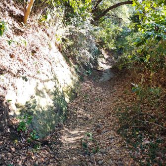 ここは、多分、沢の脇を人が歩いていたって言う道だなと思いました。