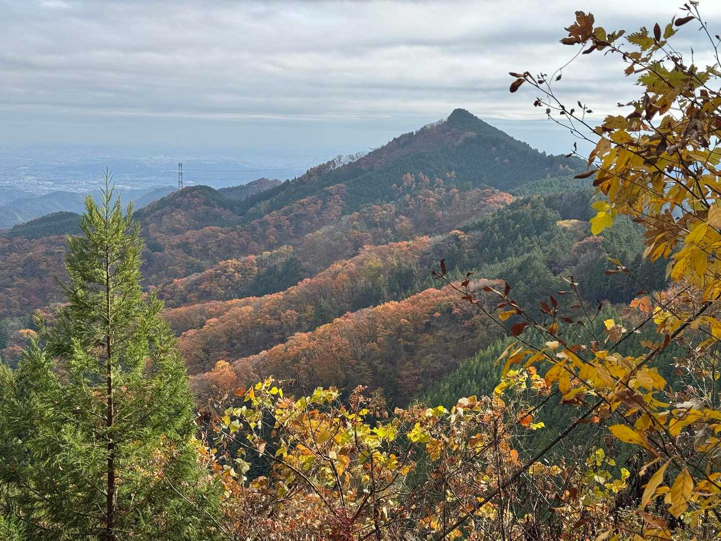 日の出山 往復コースの写真