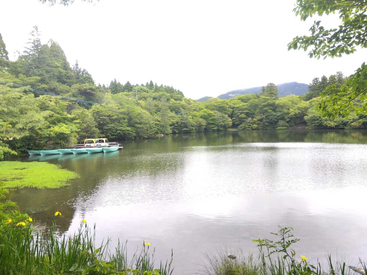 明日から雨続き
どんより☁が上空で待機中