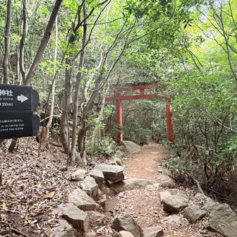 こちらにも立ち寄ってみる。