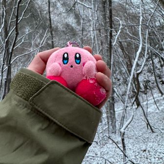 特殊戦術機甲カピバラ