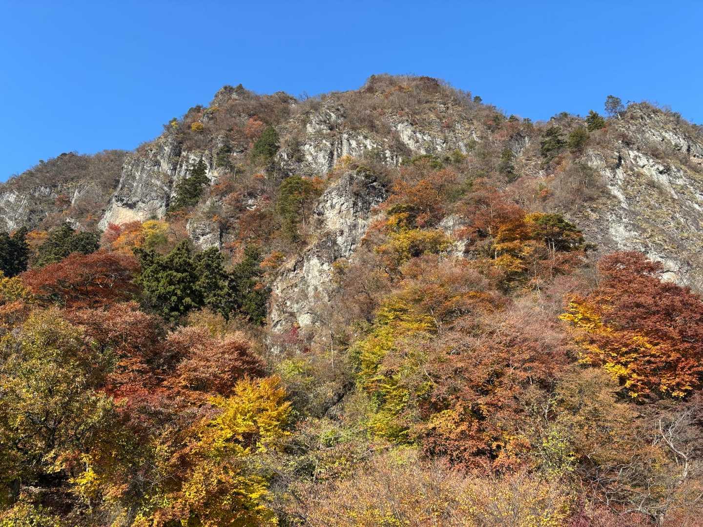 大の字到着
白雲山を見上げる。
相変わらずすごい岩だ