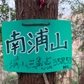 藪漕ぎして初ピーク