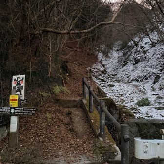 ツツジ新道入口560m