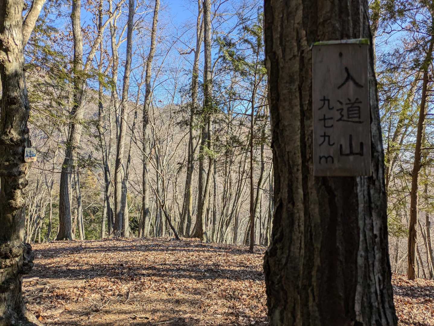 長い急登からやっとこ入道山頂上に着きました。