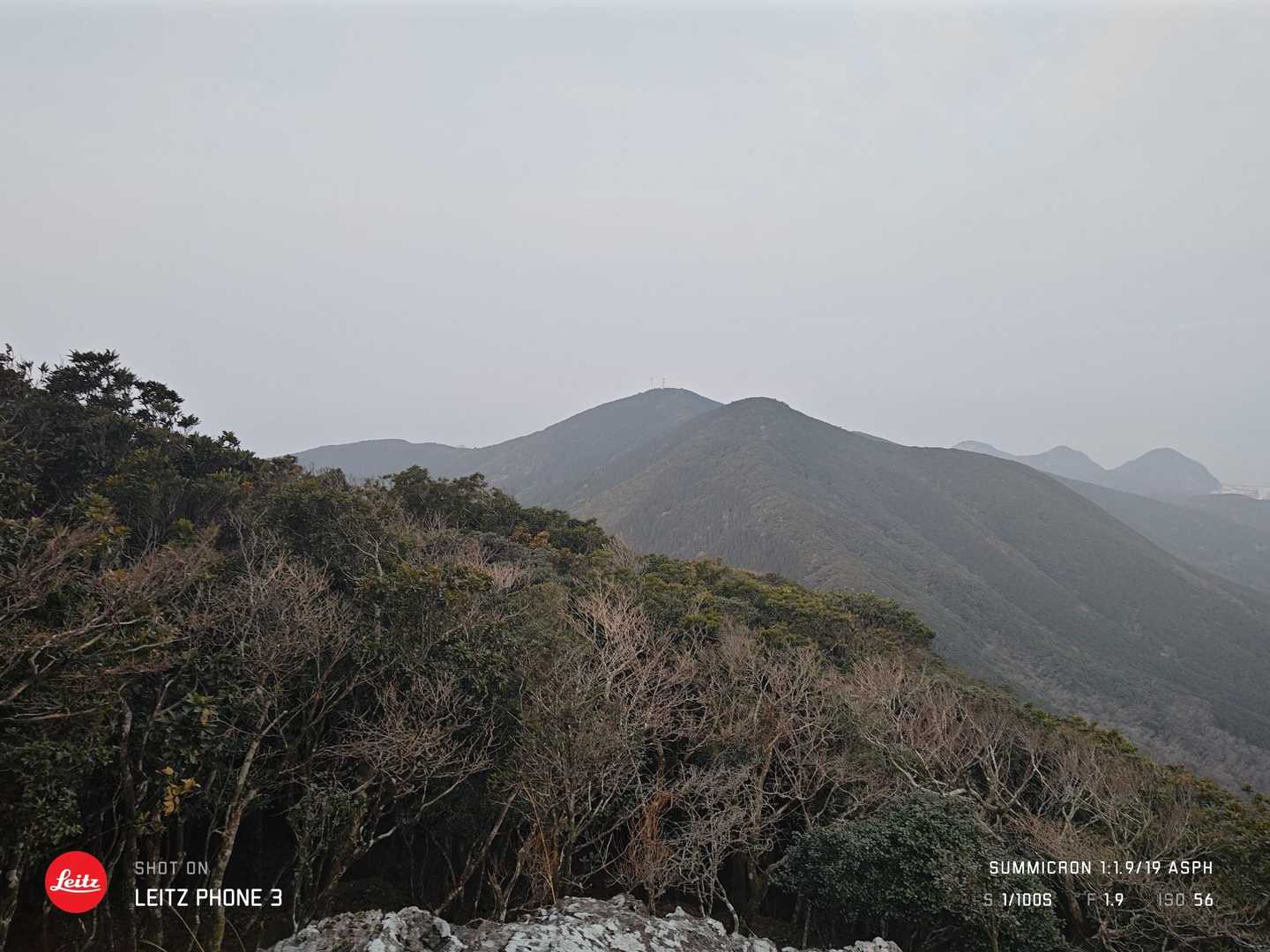 竜良山 往復 | 太古の原生林を歩く、対馬の天道信仰の聖地の写真