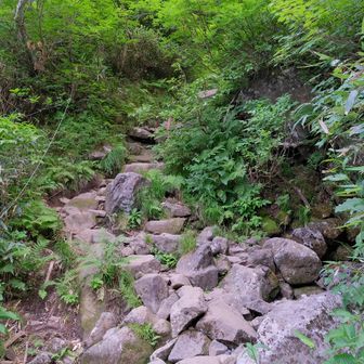 何度来ても帰りの登り返しに萎える。