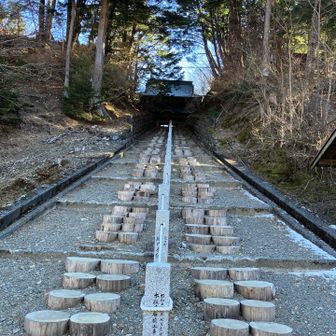 敬慎院の山門への階段
切り株は足に優しい感じがします👍