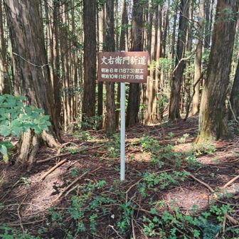 丈右衛門新道を進みます😊