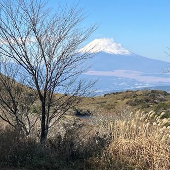 伊豆スカイラインに近づいたところで一枚。富士山と氷ヶ池。