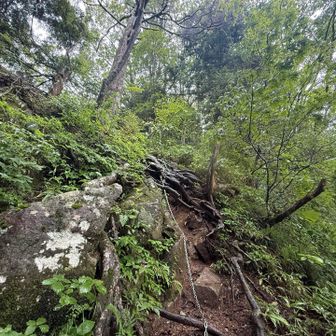 こんな鎖⛓️があるのか！！
なかなかハードな里山だね😅
遠足で子供が登る山じゃないの？
虚空蔵山までなのかな？