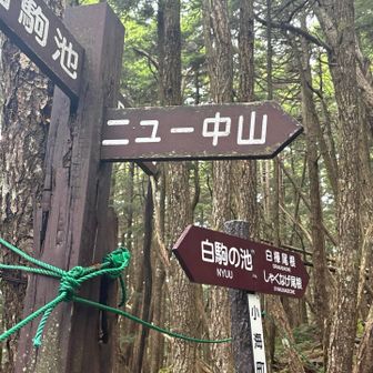 「ニュー中山」絶対違う、、、