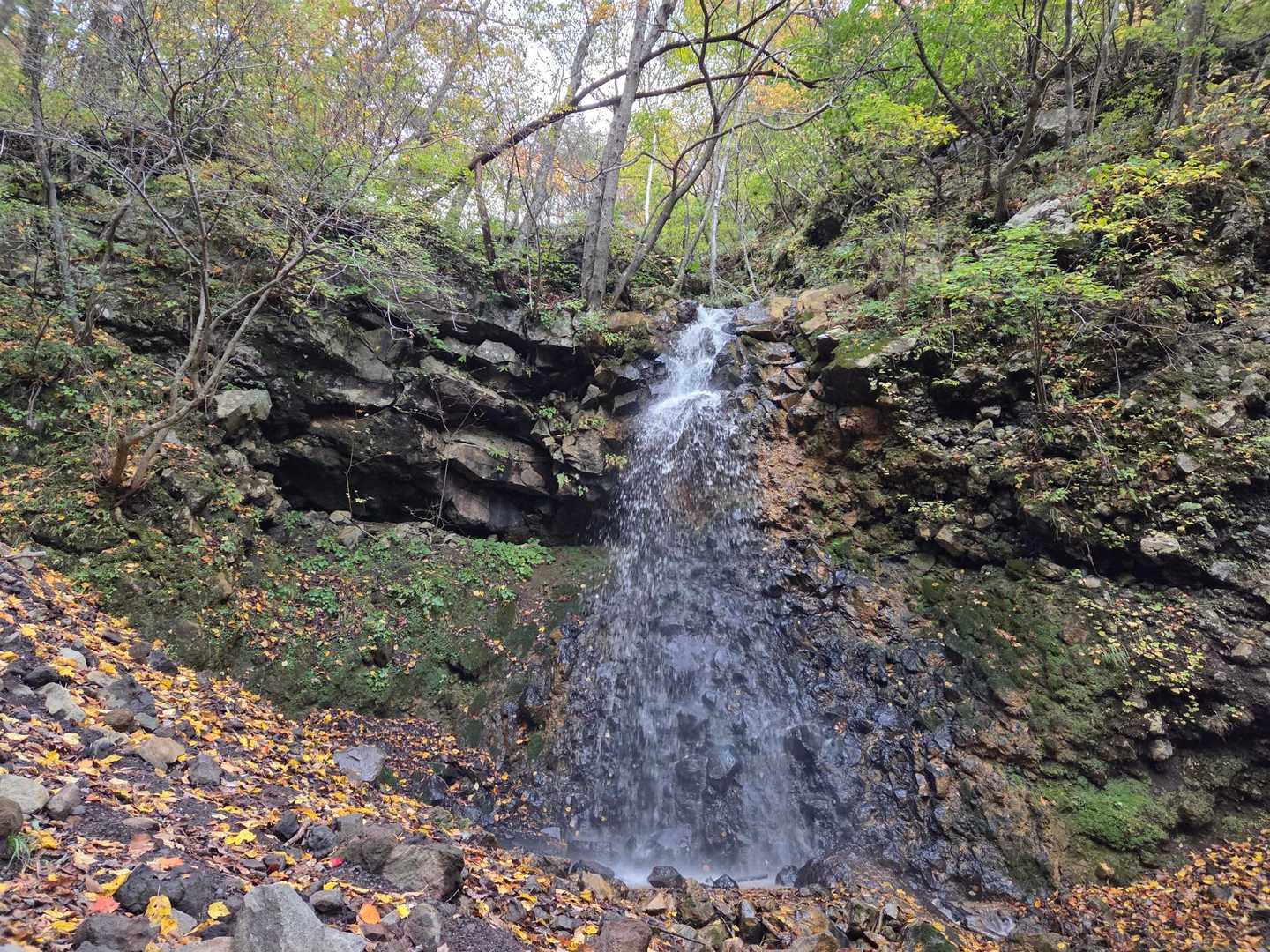 浅間山荘登山口-浅間神社-賽の河原-Jバンド-鋸岳-蛇骨岳 往復コースの写真