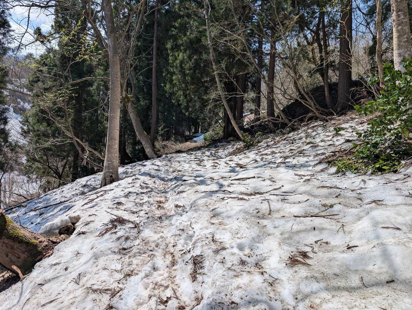登山道はまだ半分位雪残ってました⛄️