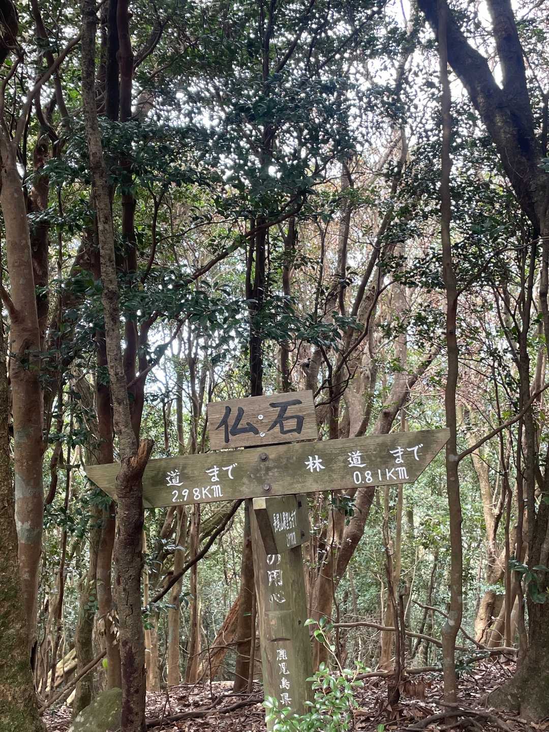 二つ目のピーク。