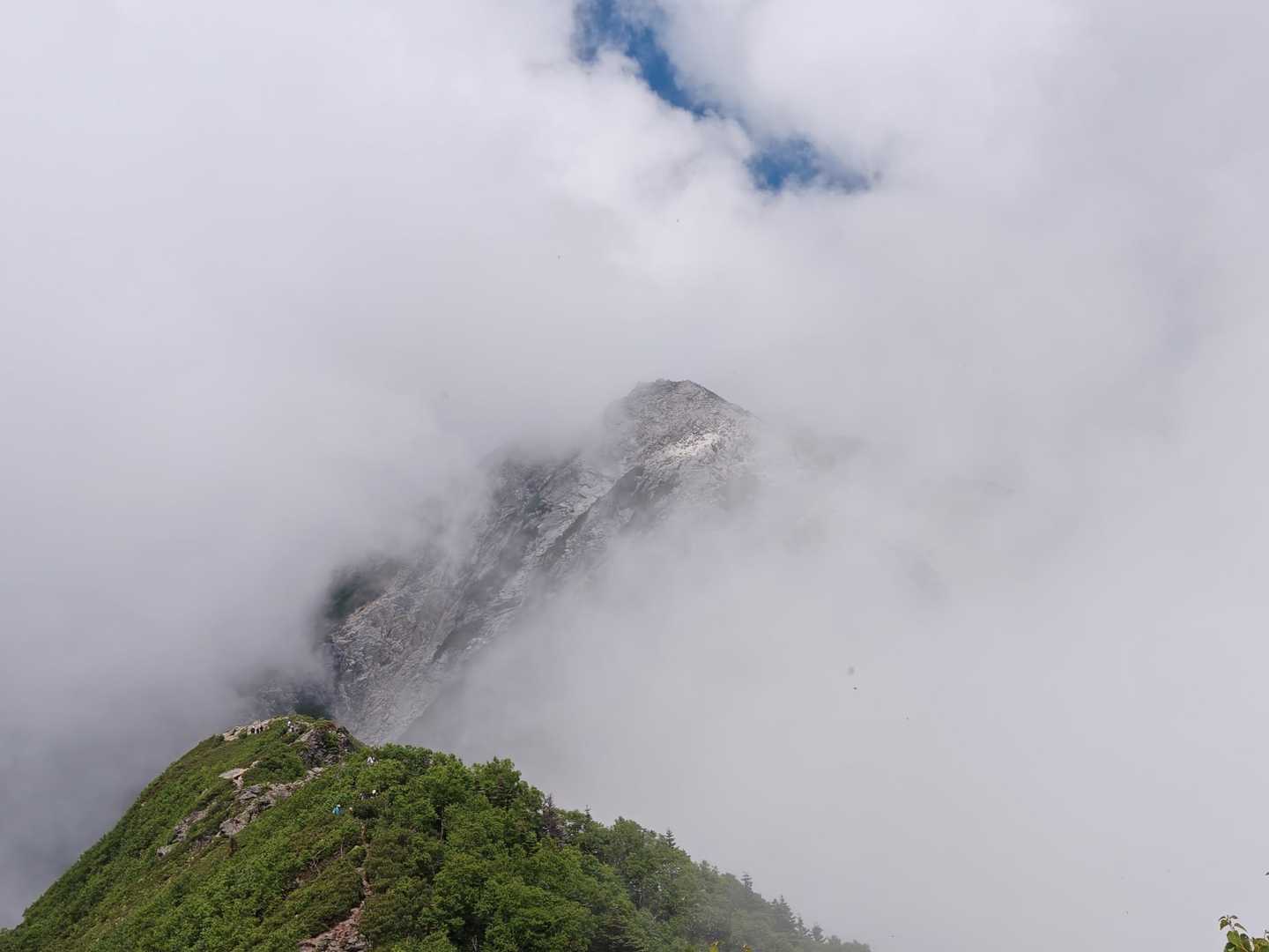 仙水峠-駒津峰-双児山-北沢峠-北沢峠バス停 周回コースの写真