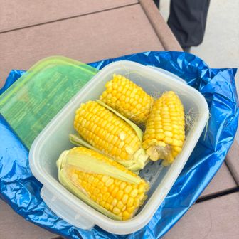 チエコーンの、地元から
採れたてトーモロコシ頂く🌽