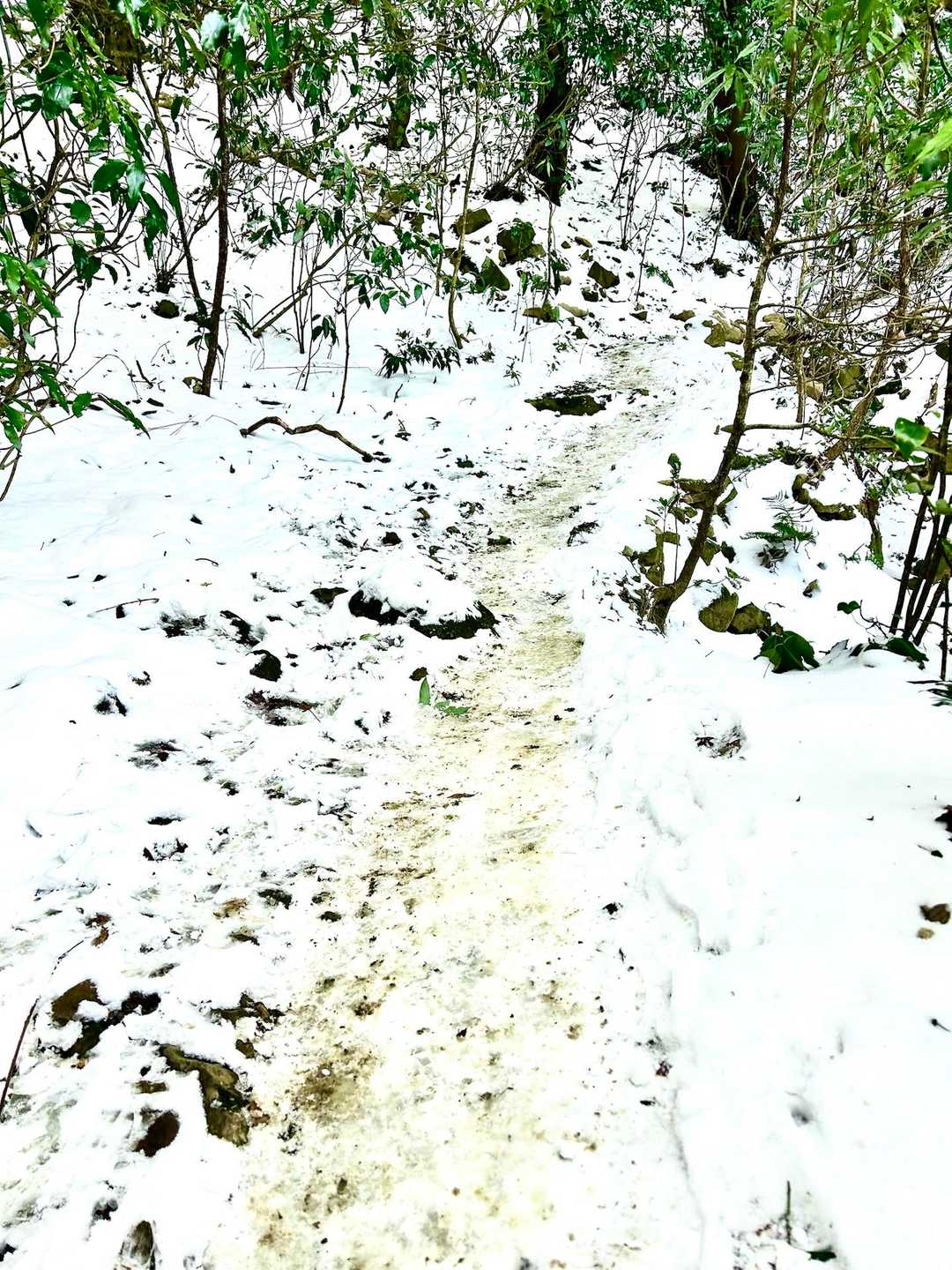 最も気温が上がる時間帯だが寒いっ🥶
完全に凍結の登山道❄️スパイクで黙々と進む。
やっぱり「ガリガリ君」食べたくなってきた💦