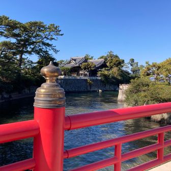 森戸神社⛩️に寄ってみたり