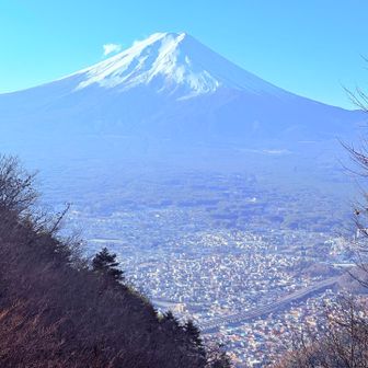 御殿の展望デッキから