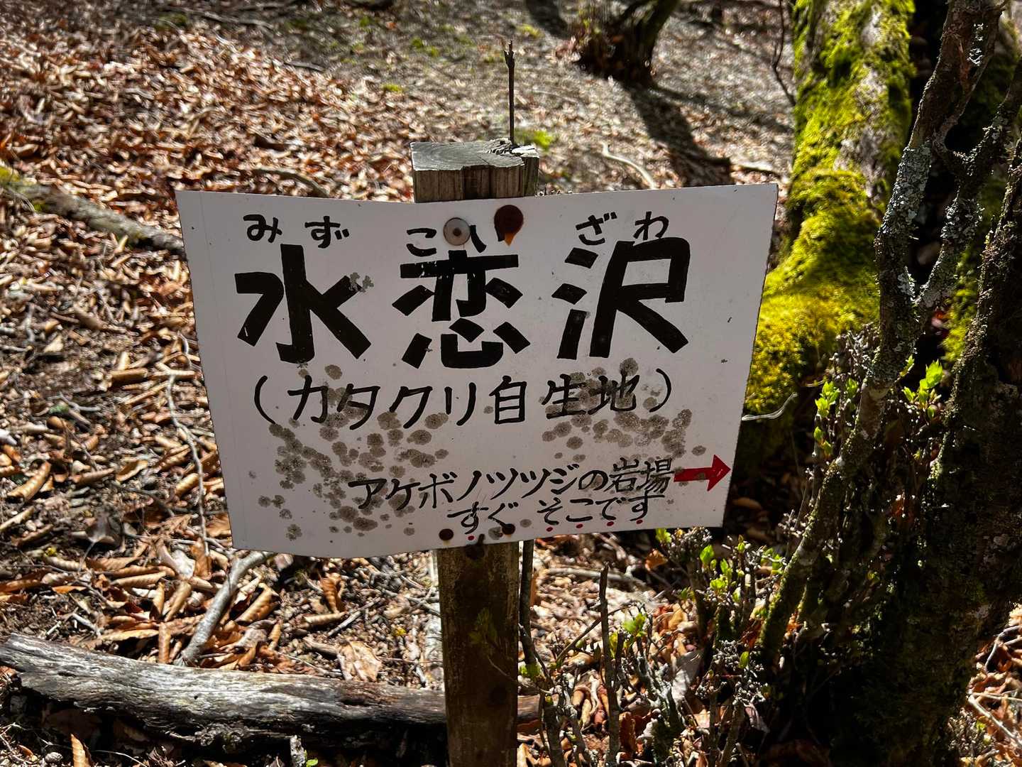 ちょっと寄り道