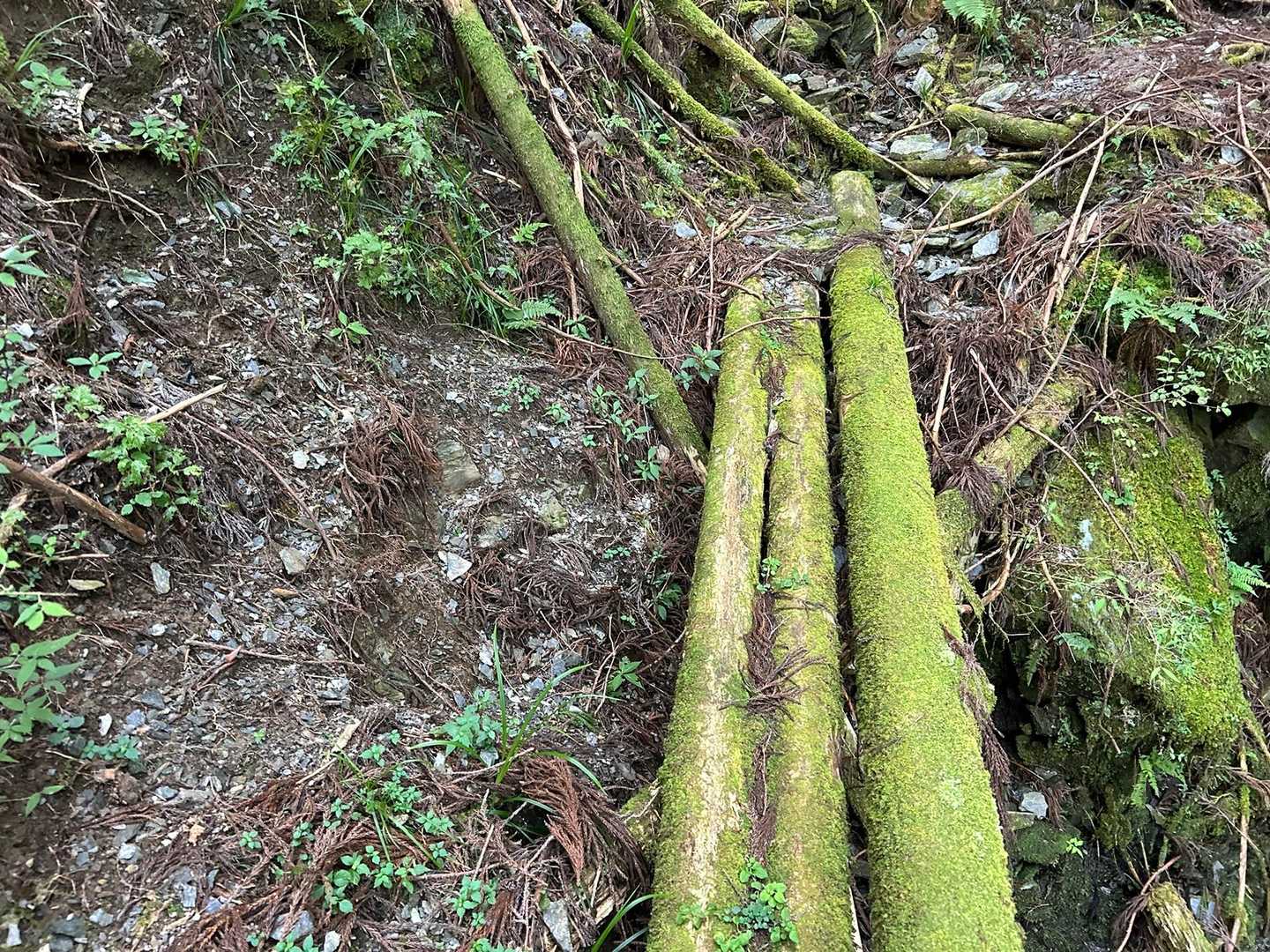 この橋、真ん中ちょっと折れそうかも？