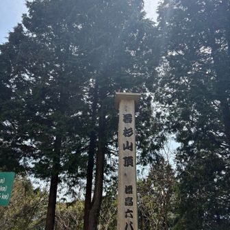 すぐに若杉山山頂。今日は貸し切り。