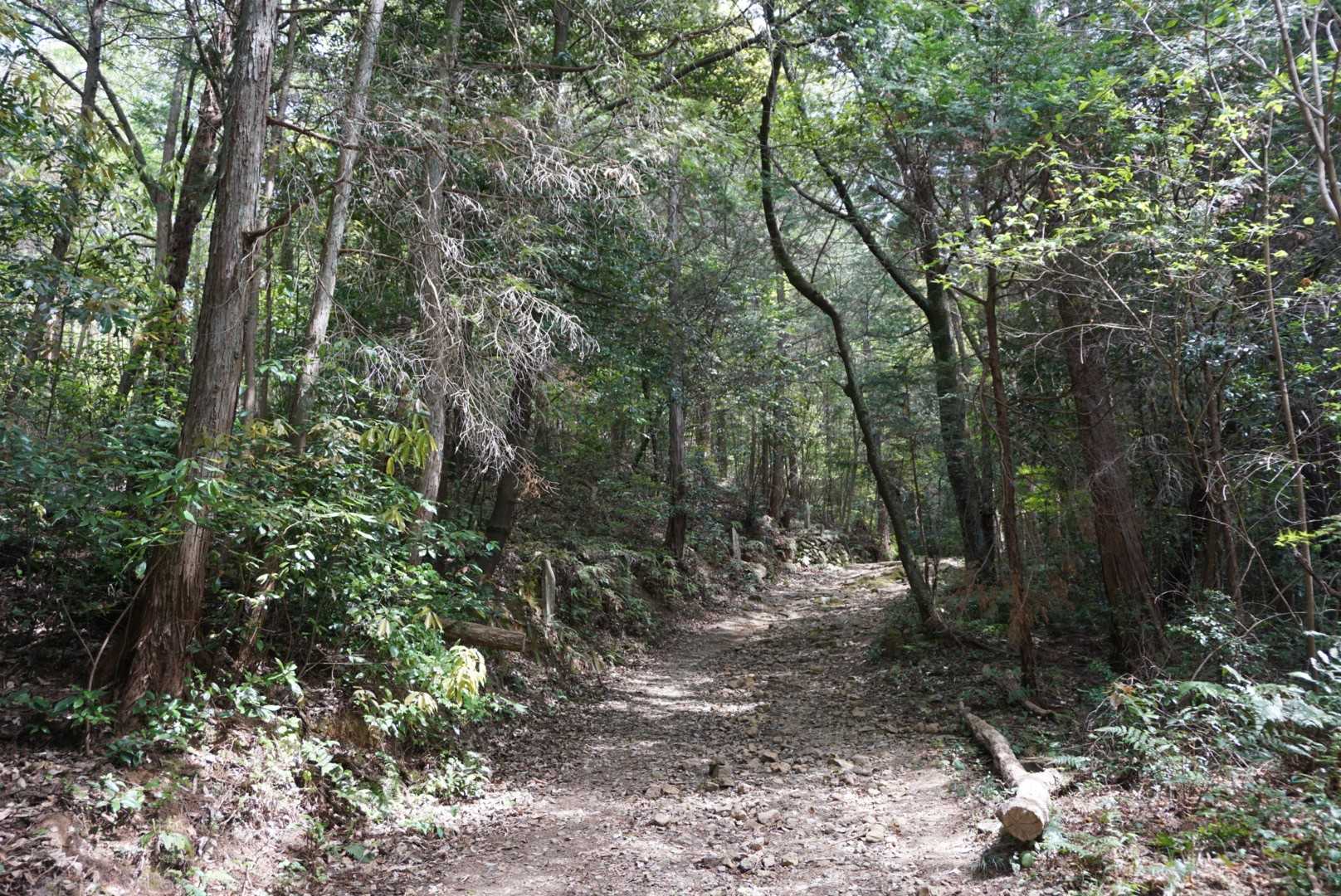 銀明水-尾張冨士登山口-尾張冨士 往復コースの写真