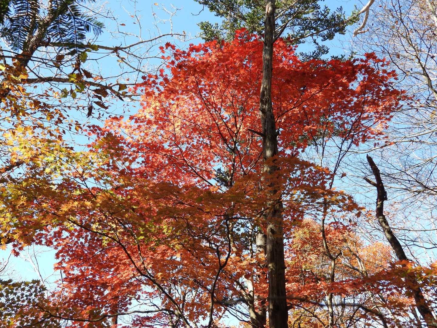 ビューティフル🍁