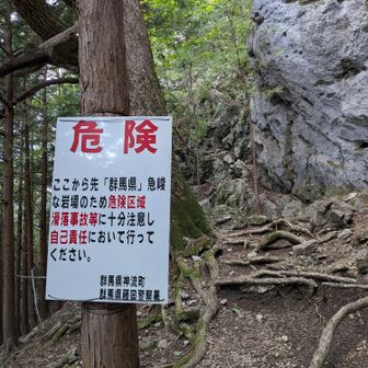 やっと土の山道へ〜