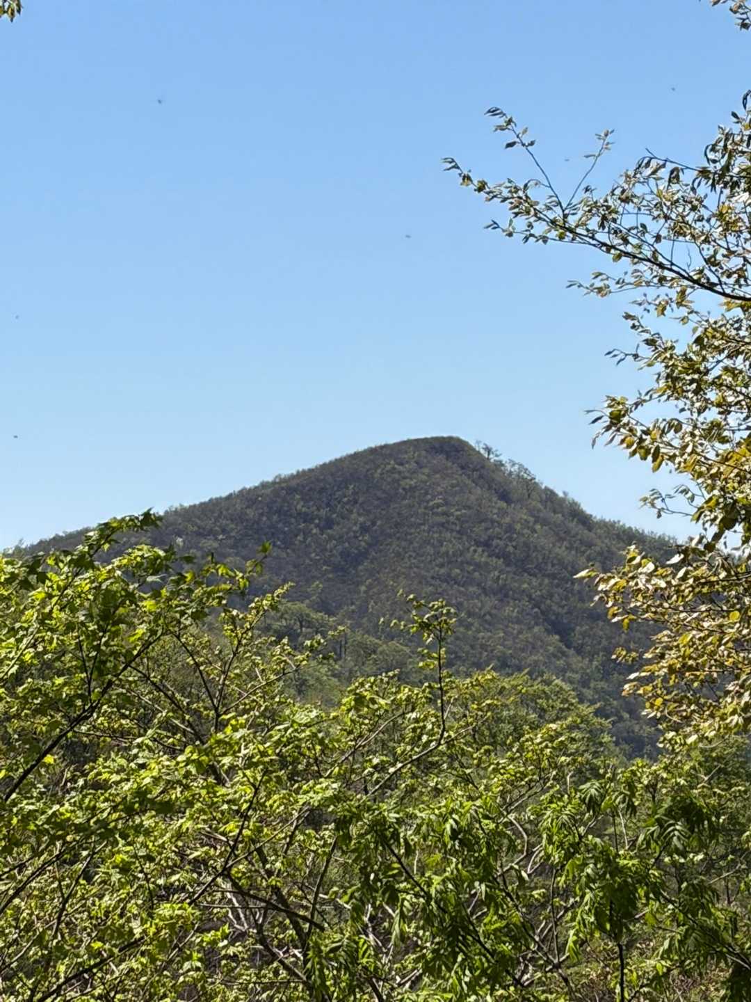 小大日山1198m