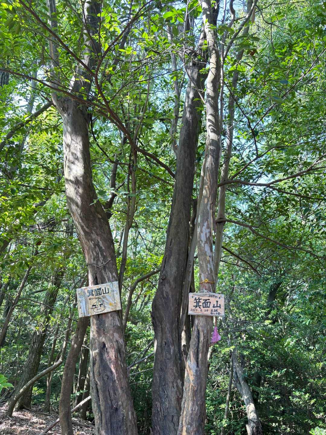 瀧安寺-石子詰登山口-箕面山 往復コースの写真