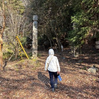 登山道に入ります