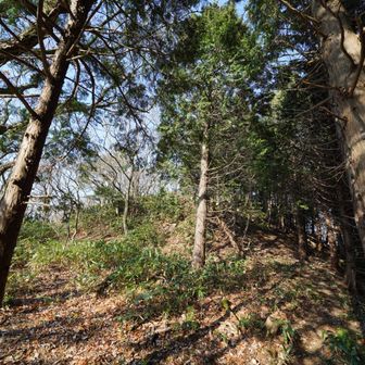 なんとか、免賀手山へ