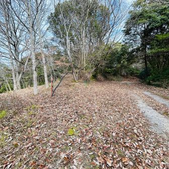 左に入ります🤜