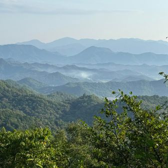 高賀山方面