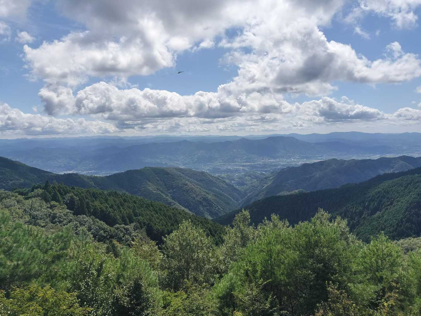 展望台からの景色。
和歌山方面。
