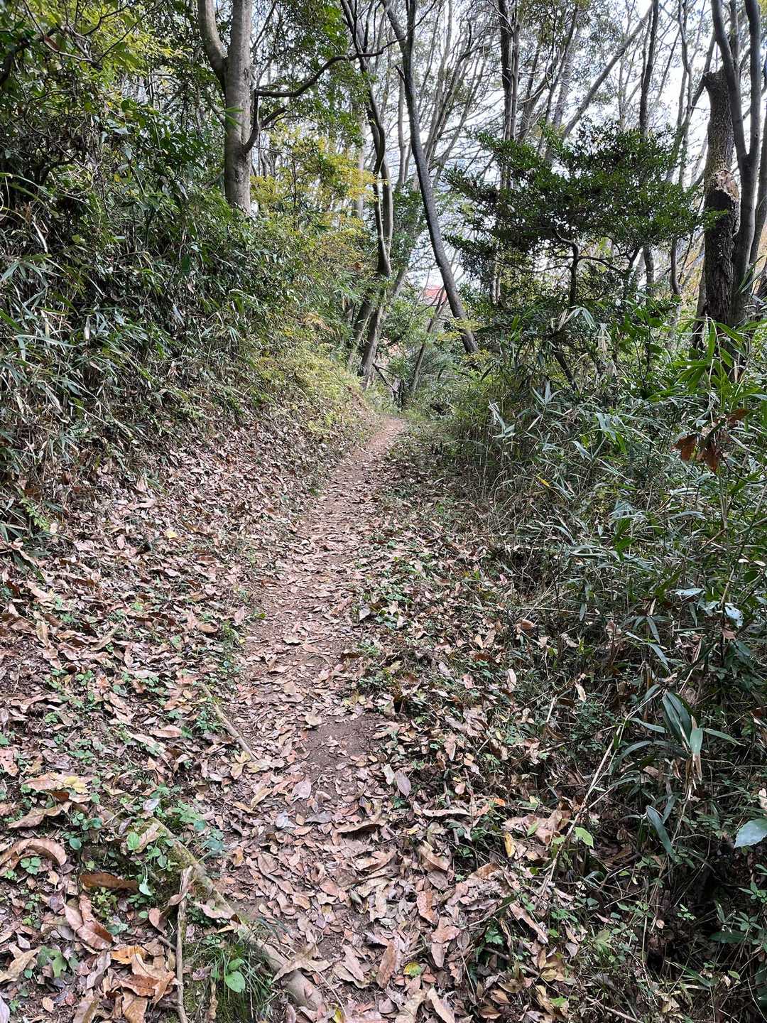 優しい登山道