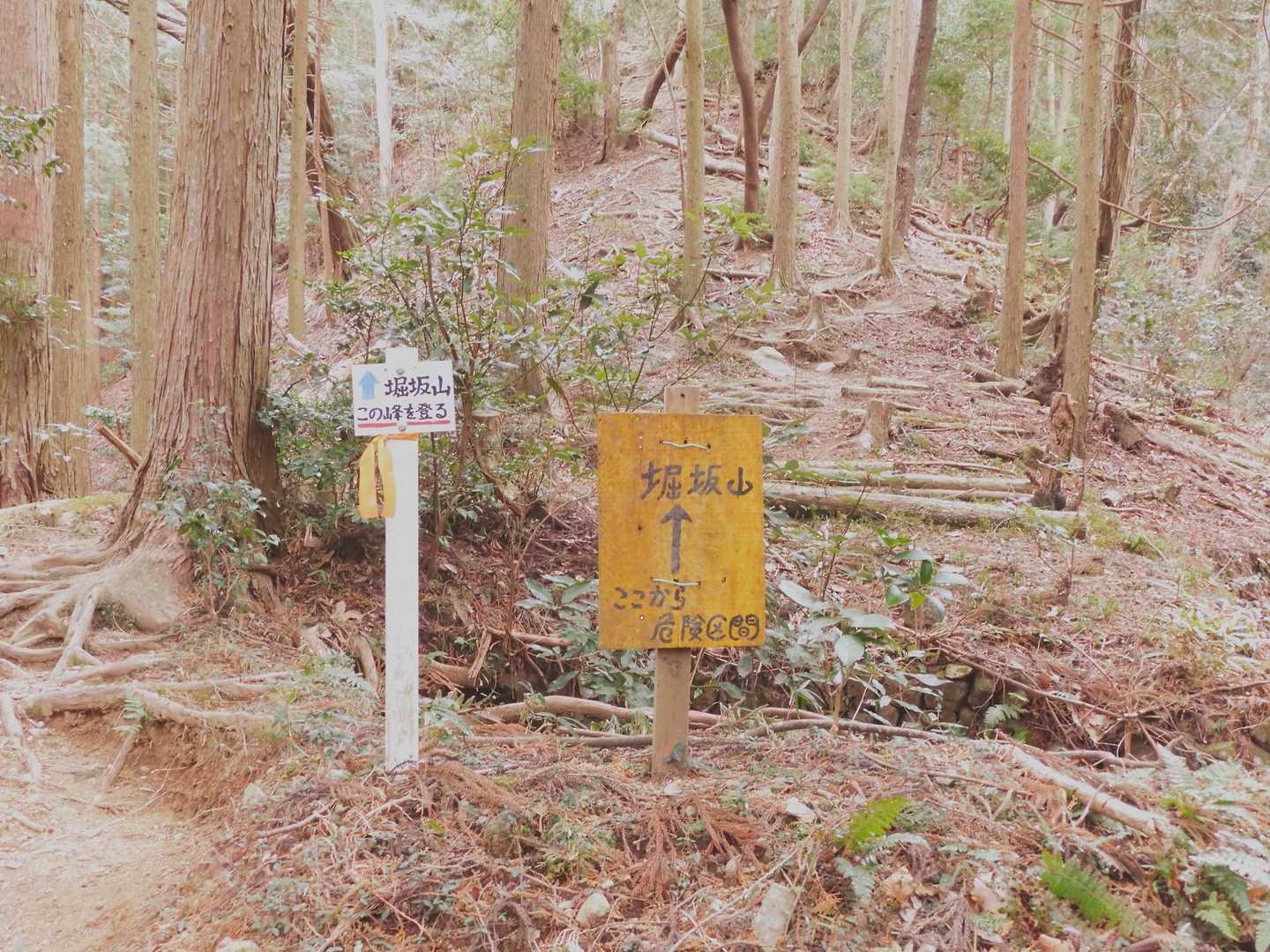 堀坂山から降りてきた所
危険箇所って書いてある。
