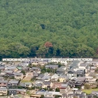 電車が走ってる🚃