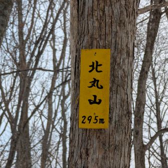 北丸山登頂

気付けば最後は、そんなおやじ談義の独壇場となっていた🥸✨✨

そして、最後のピークも藪の中で、展望はなかった。

この立派な山頂標識がありがたかった🙏
