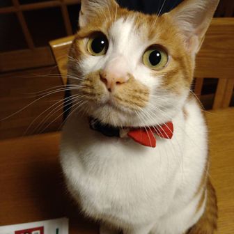 鮎太郎