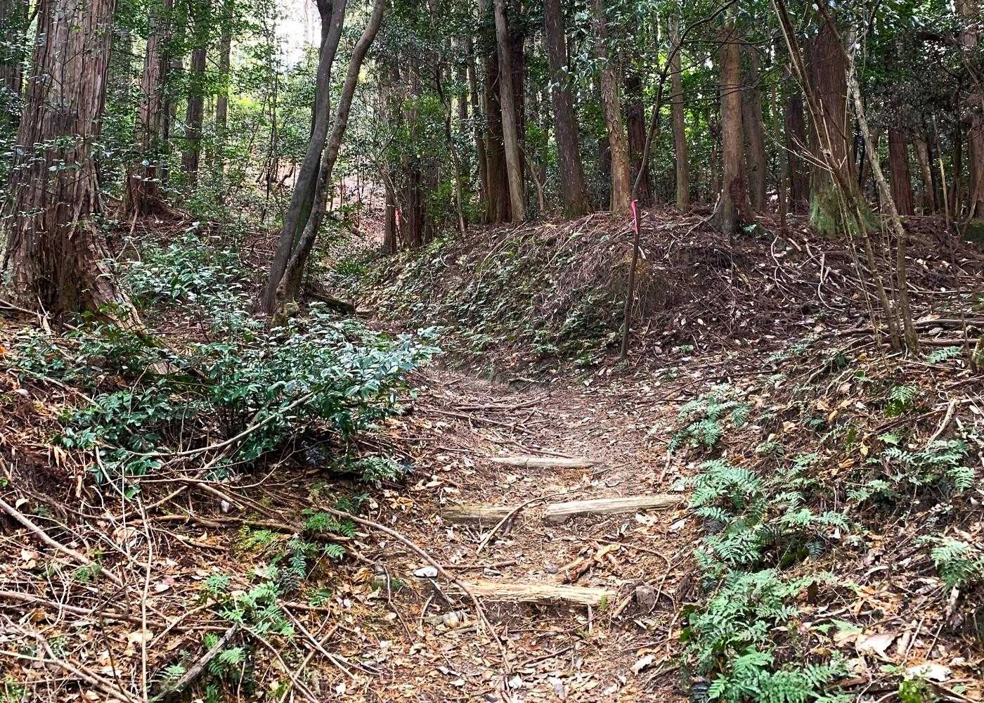 整備された広めの山道。