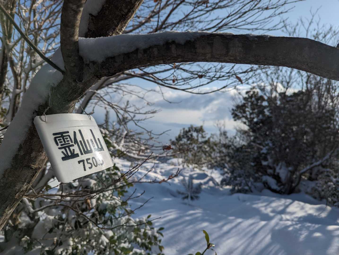 ずっと来たかった比良山系の霊仙山。
琵琶湖の上の方も霊仙山(だよね?)。