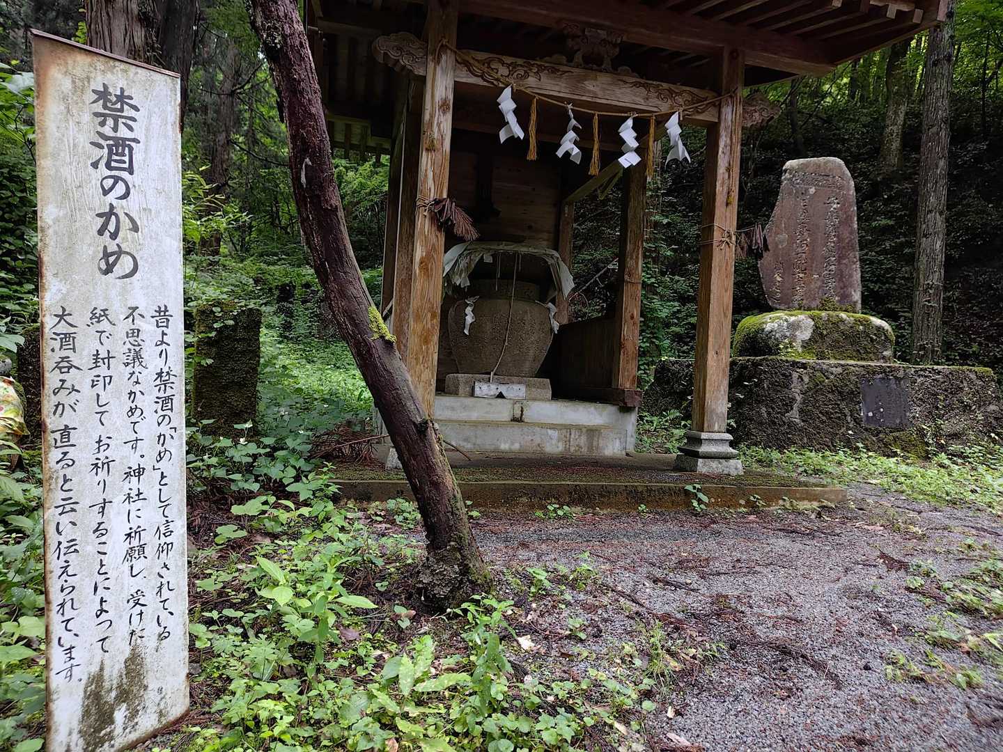 すたーと🍎
私の大酒飲みは、何をやっても治る気がNothingですyo🤣🤣🤣
