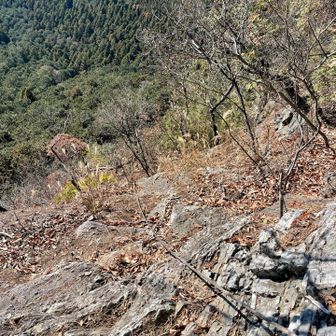 振り返ると。
実際はもっと高度感あります。
ザレが滑るので慎重に❗️