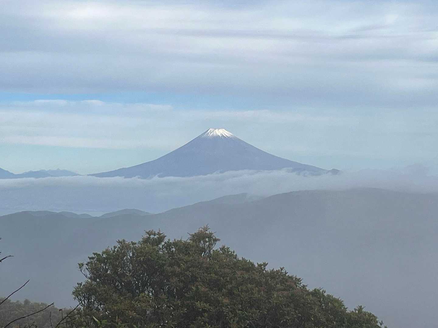 天城峠バス停-天城峠-二本杉峠-滑沢峠-つげ峠-猫越峠-水 縦走コースの写真