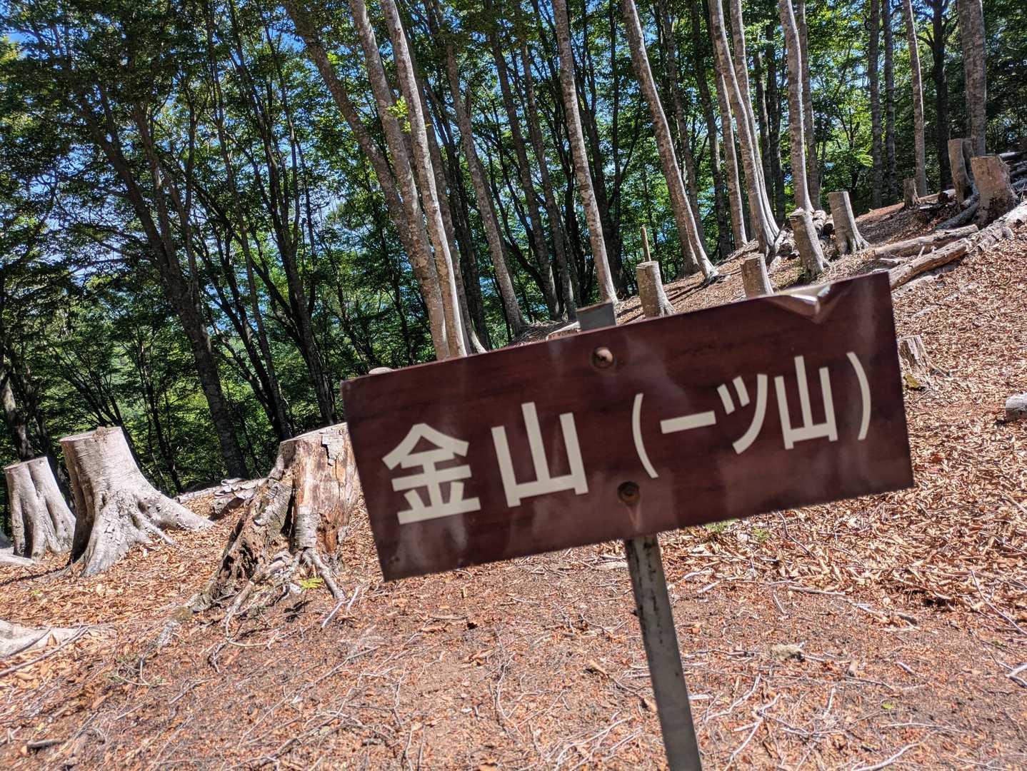 🤭ピークの安売り‼️